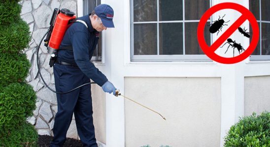 Yalova Sivrisinek İlaçlama böcek ilaçlama ve haşere kontrolü — ilaclama-tr.com